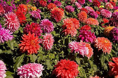 前Valve编剧分享PSVR2体验：感觉实在是太不一样了